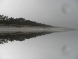 Sandstrand 1