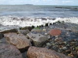 Wilde Ostsee 4